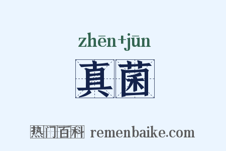 真菌是什么意思的图片